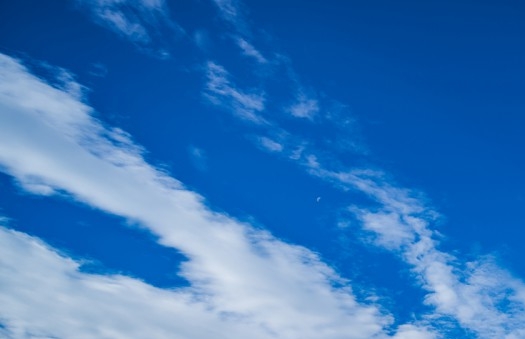 下载粉象生活点纸