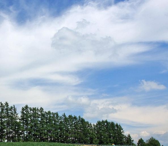 粉象生活的利弊