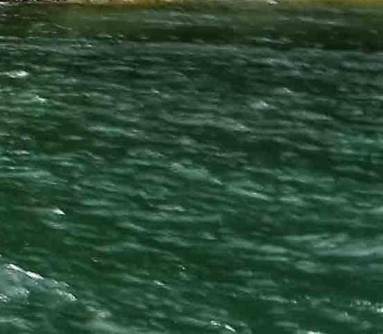 下载粉象生活最新版