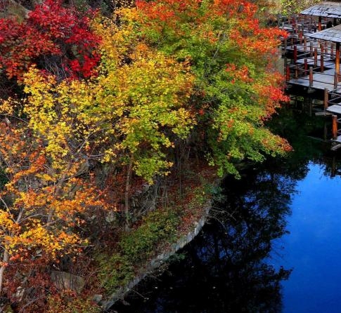 做粉象生活靠谱吗