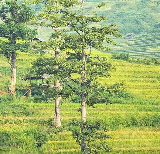 返利网和粉象生活哪个好