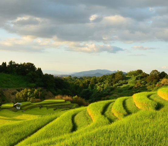 粉象生活如何取消支付宝绑定