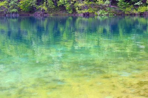 有没有做粉象不成功的
