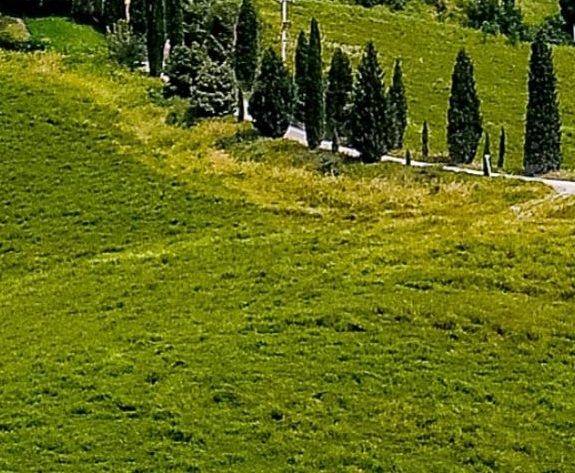 如何取消支付宝的免密支付功能