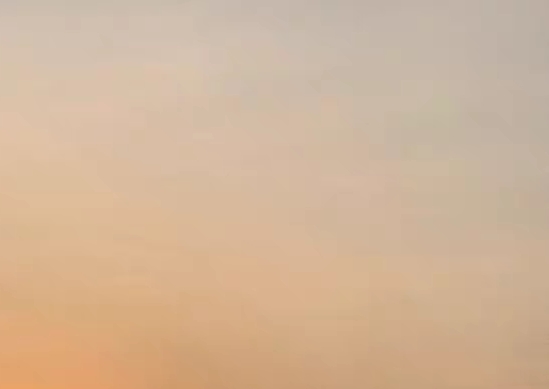 粉象生活是真的假的