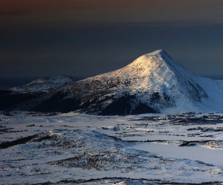 粉象生活好还是省钱快报好
