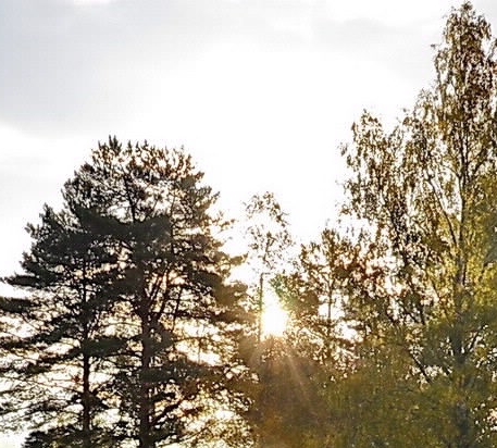 支付宝的花呗逾期了有什么后果