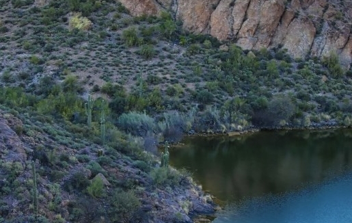 粉象生活新手教程