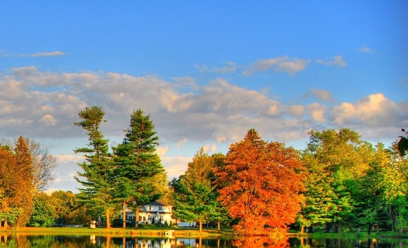 下载粉象生活app下载