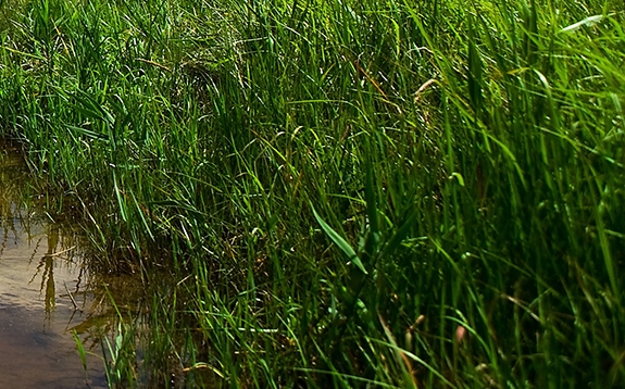 粉象生活是真的假的