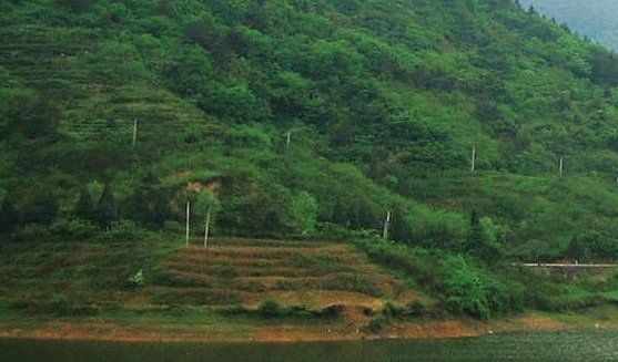 干白和干红哪个后劲大