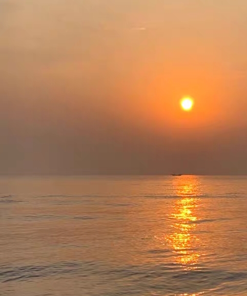 免费领红包的网站