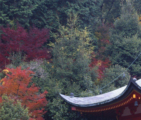 粉象生活优惠卷平台