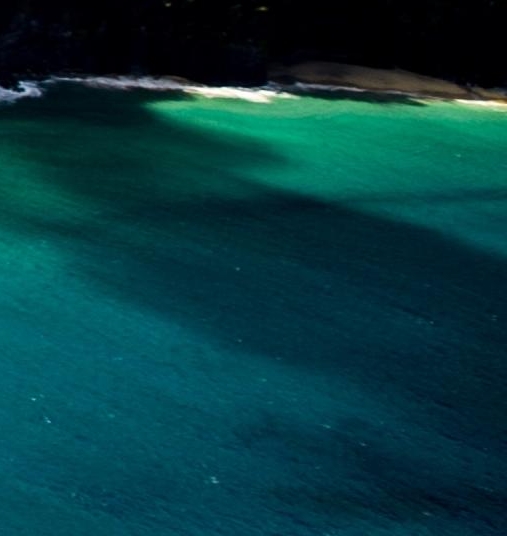 花生日记 蜜源 粉象生活