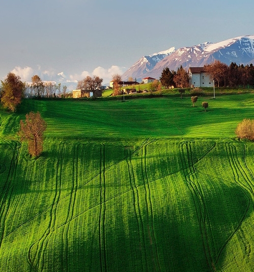粉象无限领红包