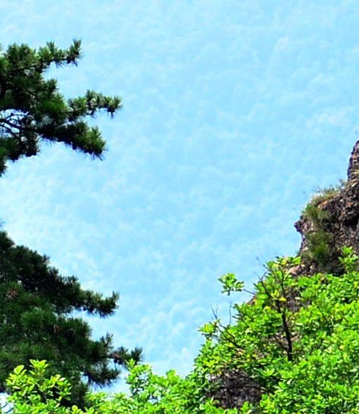 粉象公司分部