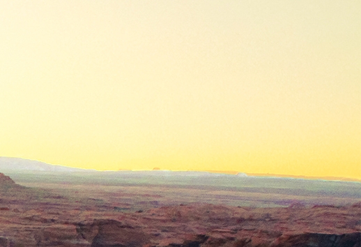 蜜源和粉象的区别