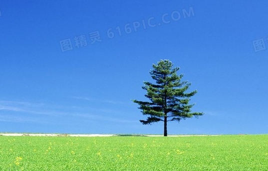 粉象生活是真的假的