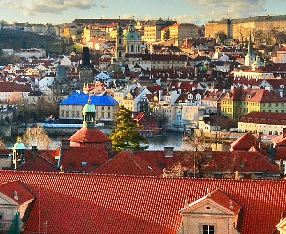 粉象生活会员制赚钱算法