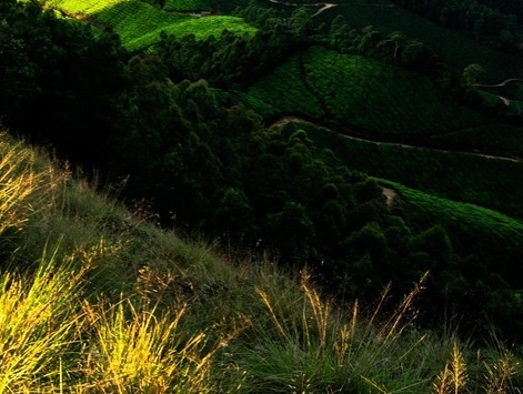 室内陈设设计案例分析