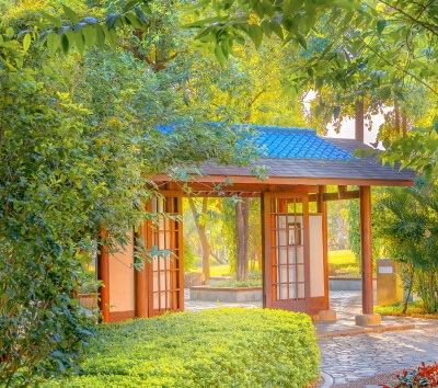 粉象app下载