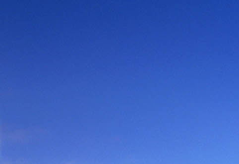 三七粉的药效是什么