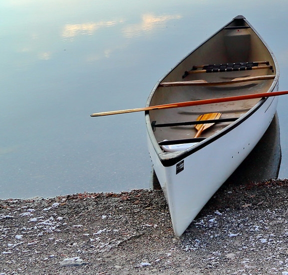 粉象生活骗局大揭秘
