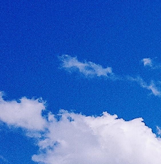 粉象生活骗局大揭秘