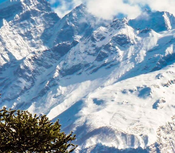 粉象生活必须要买会员吗