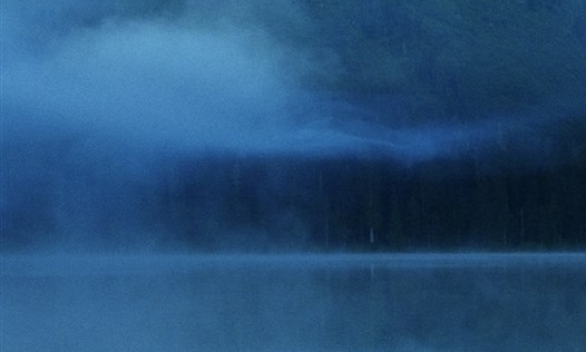 粉象生活没有隐私