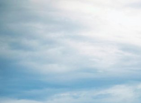 野山参粉的功效