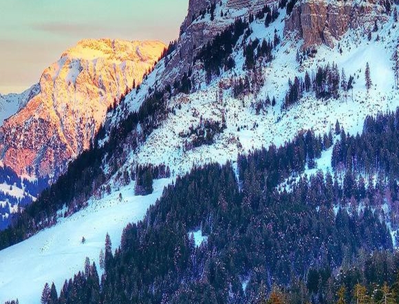 消费者联盟官网