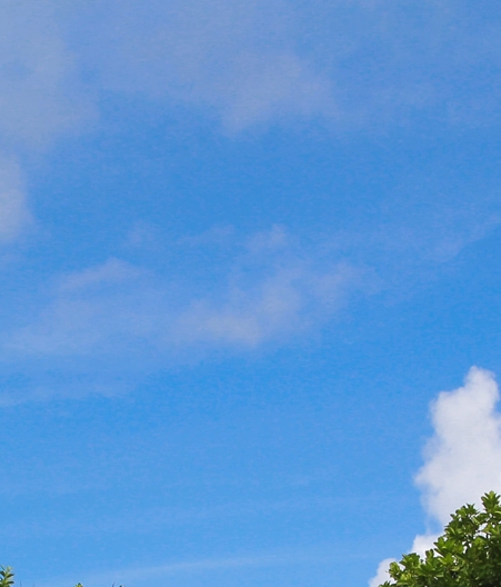 粉象生活日结提现