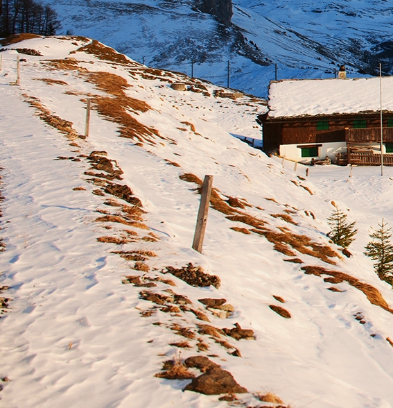 三人合伙股权分配最佳