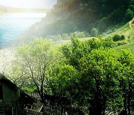 粉象邀请码562620第一批