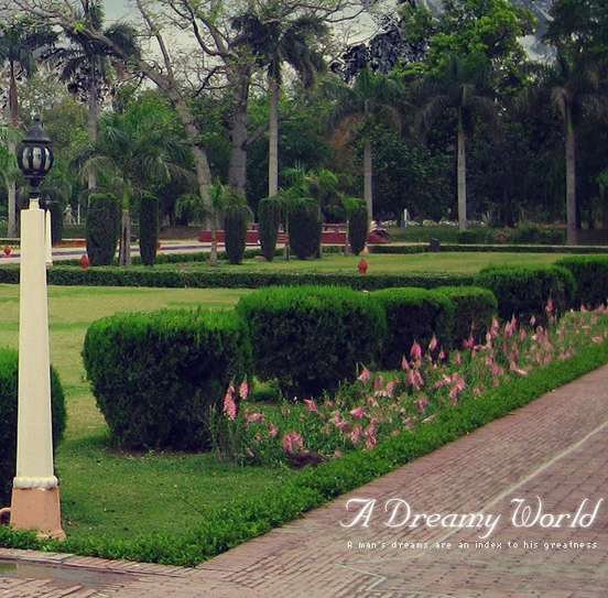 淘宝所属类目支持上新商品现状不支持上新