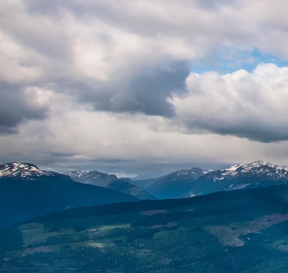 粉象与淘宝联盟
