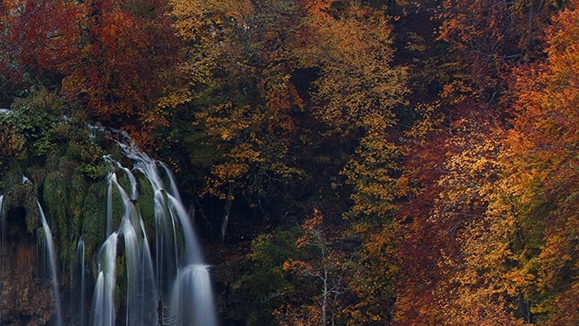 粉象生活怎么分享优惠券