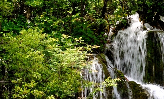 大粉水有白色沉淀