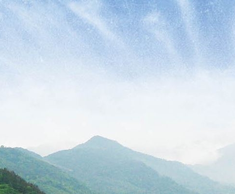 神象野山参粉六盒装