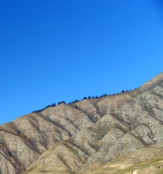 粉象优惠券是真的吗
