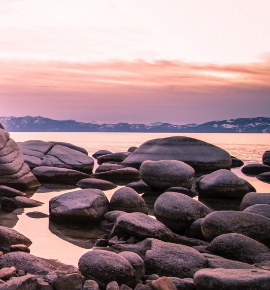 神象生晒参粉与野山参粉的差别