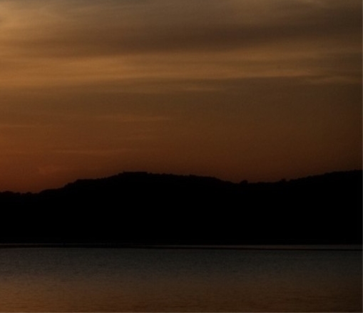 一淘和粉象生活哪个返利高