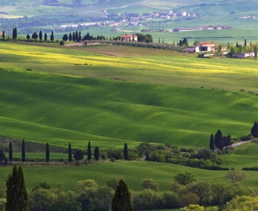 哈粉宾馆邀请人怎么填