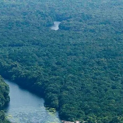 粉象生活是什么
