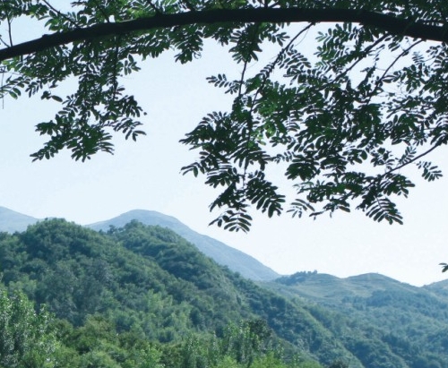粉象生活软件