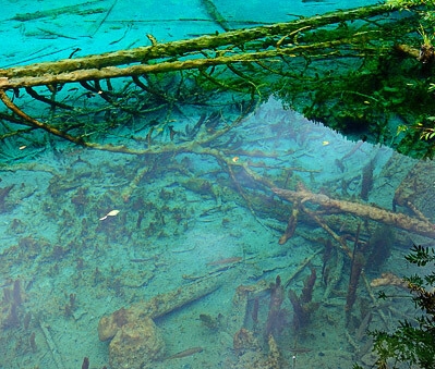 创始合伙人股权怎么分