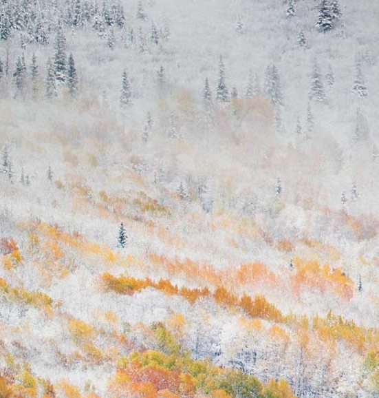 雪花啤酒产地哪里