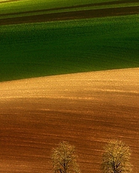 粉象生活与一淘哪个好