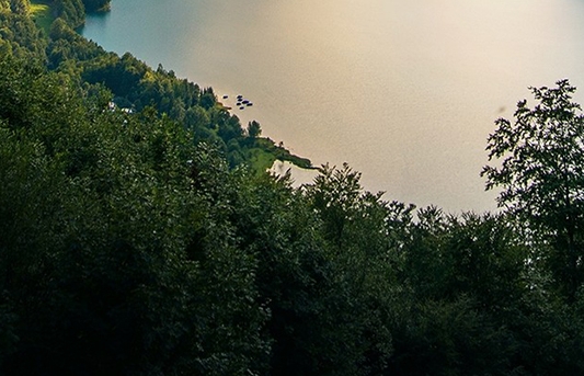 粉象生活和淘小铺